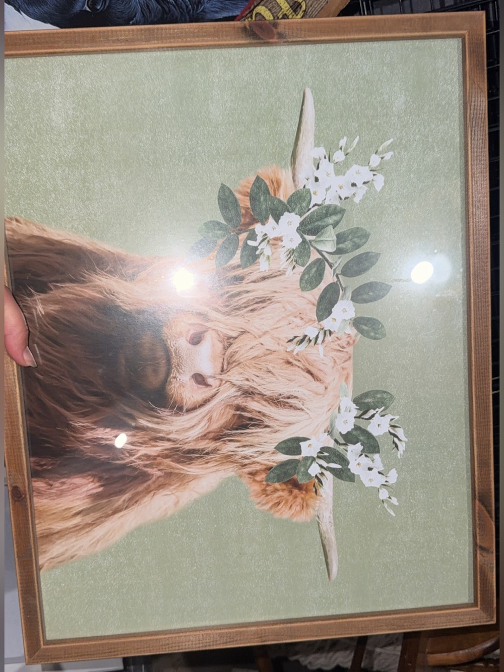 Highland Cow Wall Art Print in Green and Brown